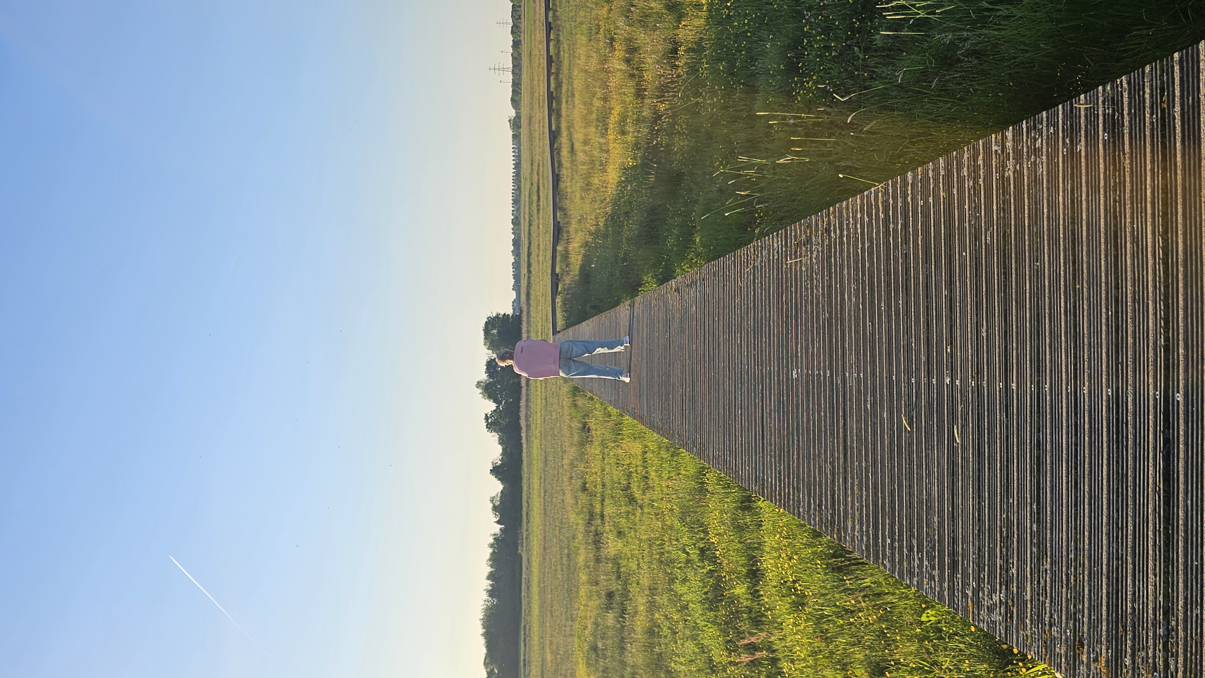 Weg foto